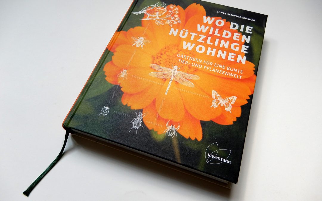 Wo die wilden Nützlinge wohnen – bei mir im Garten