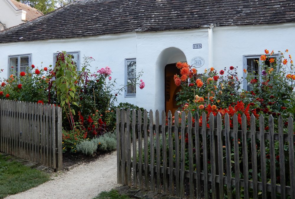 Vortrag beim Naturgartenfest im Museumsdorf Niedersulz