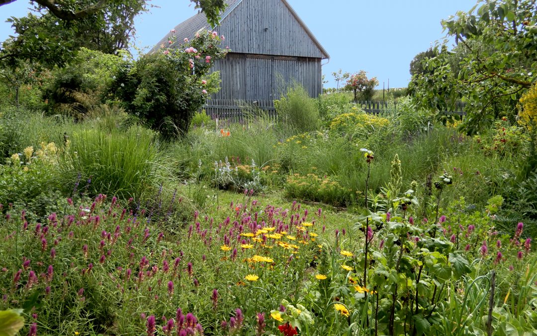 Gartenreise – Entdeckungsreise im eigenen Garten