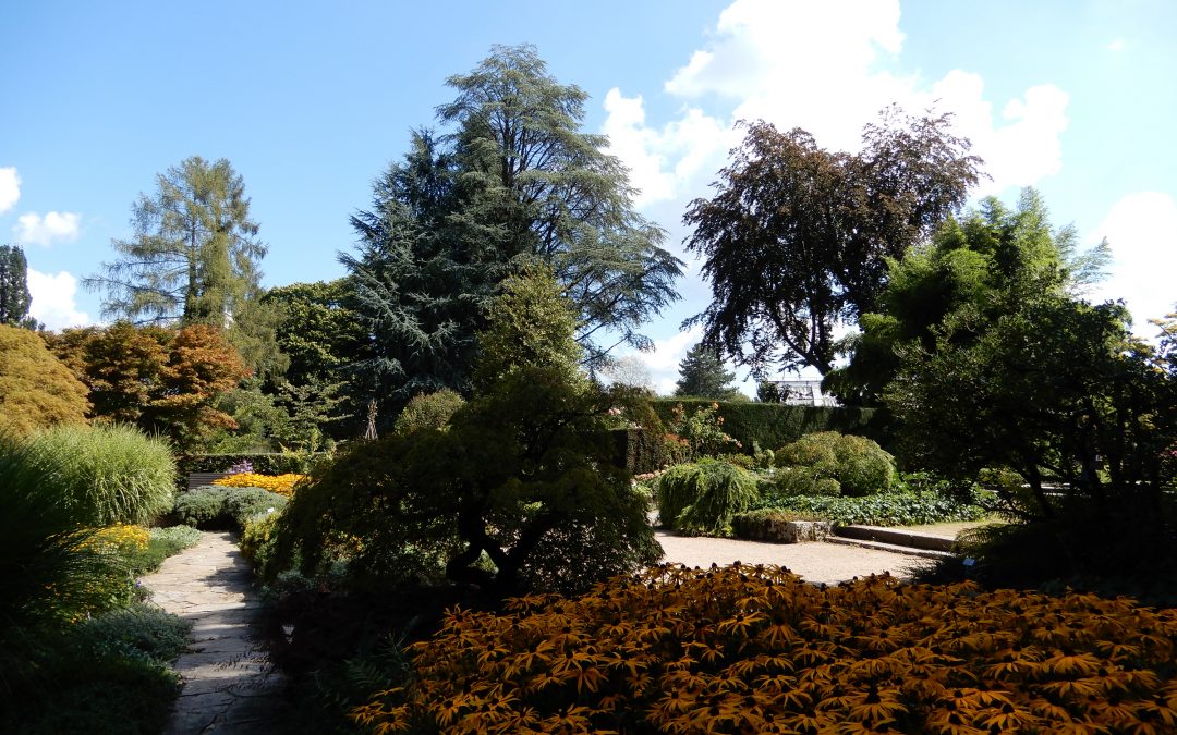 Botanischer Garten Linz – ein Spaziergang im Spätsommer