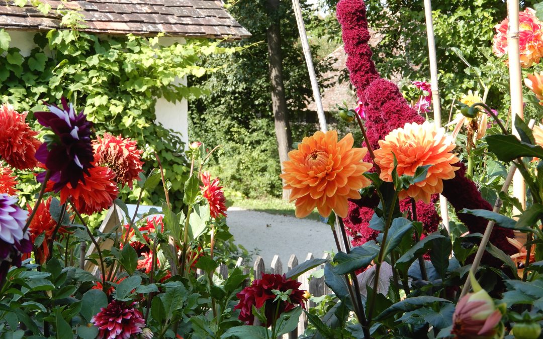 Vortrag beim Naturgartenfest Museumsdorf Niedersulz