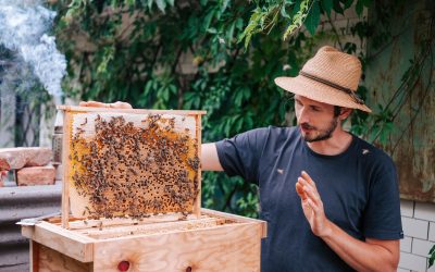 Bio-Imkerei – Interview mit Martin Manyet