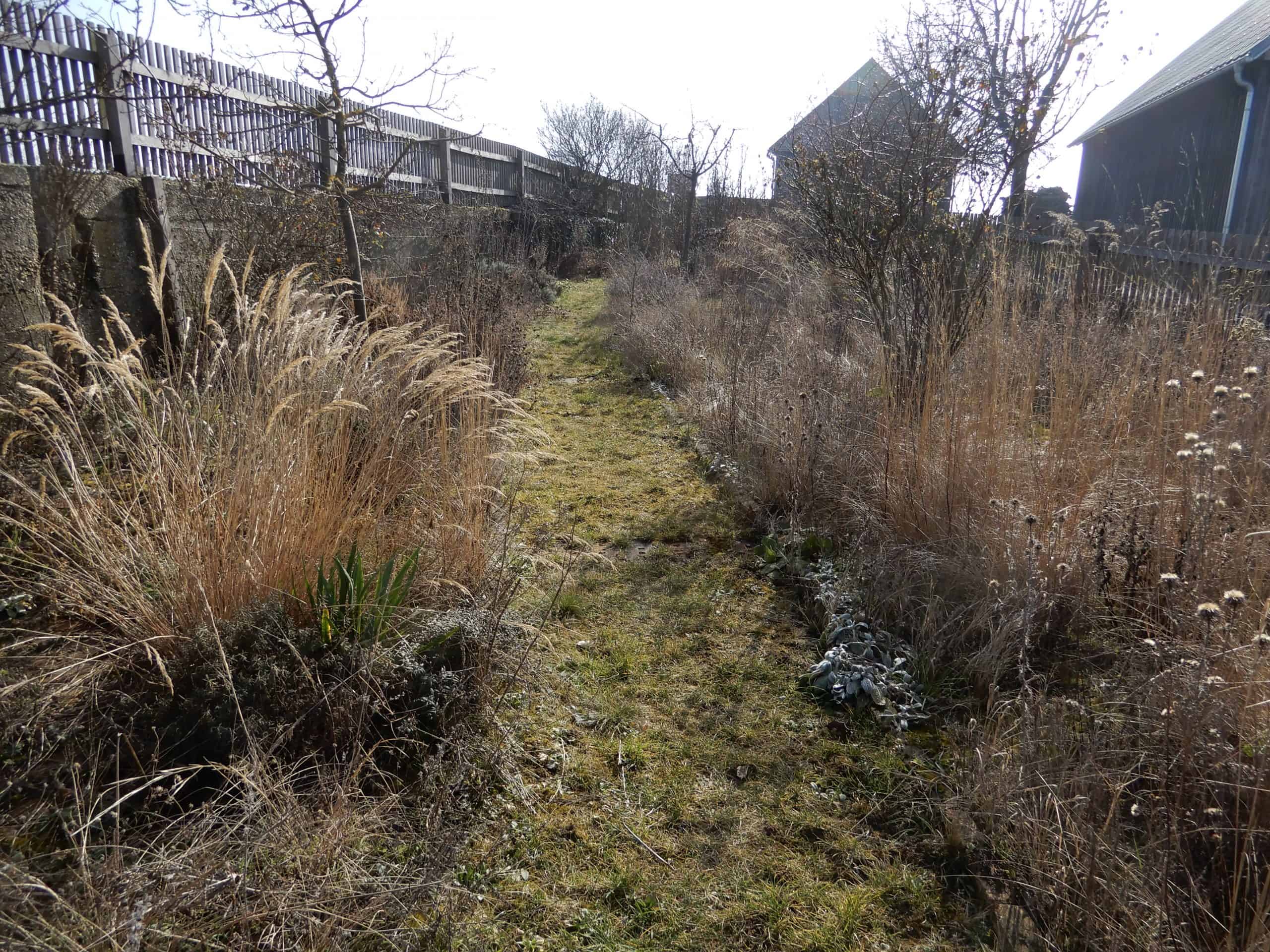 Steppe im Februar vor Rückschnitt