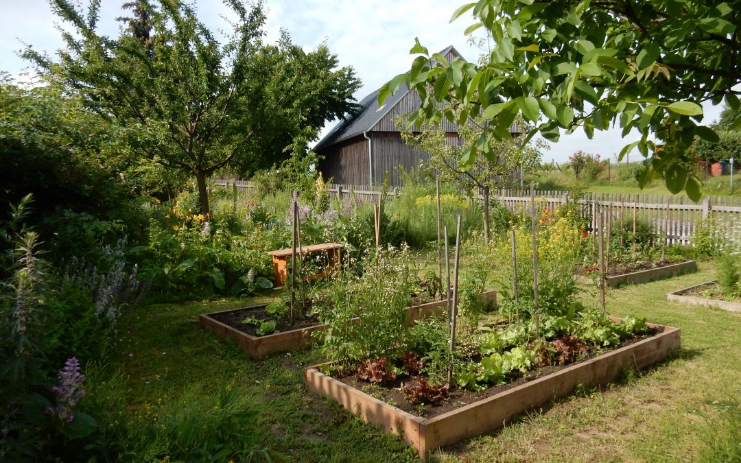 Selbstversorgung – Genuss aus dem eigenen Garten