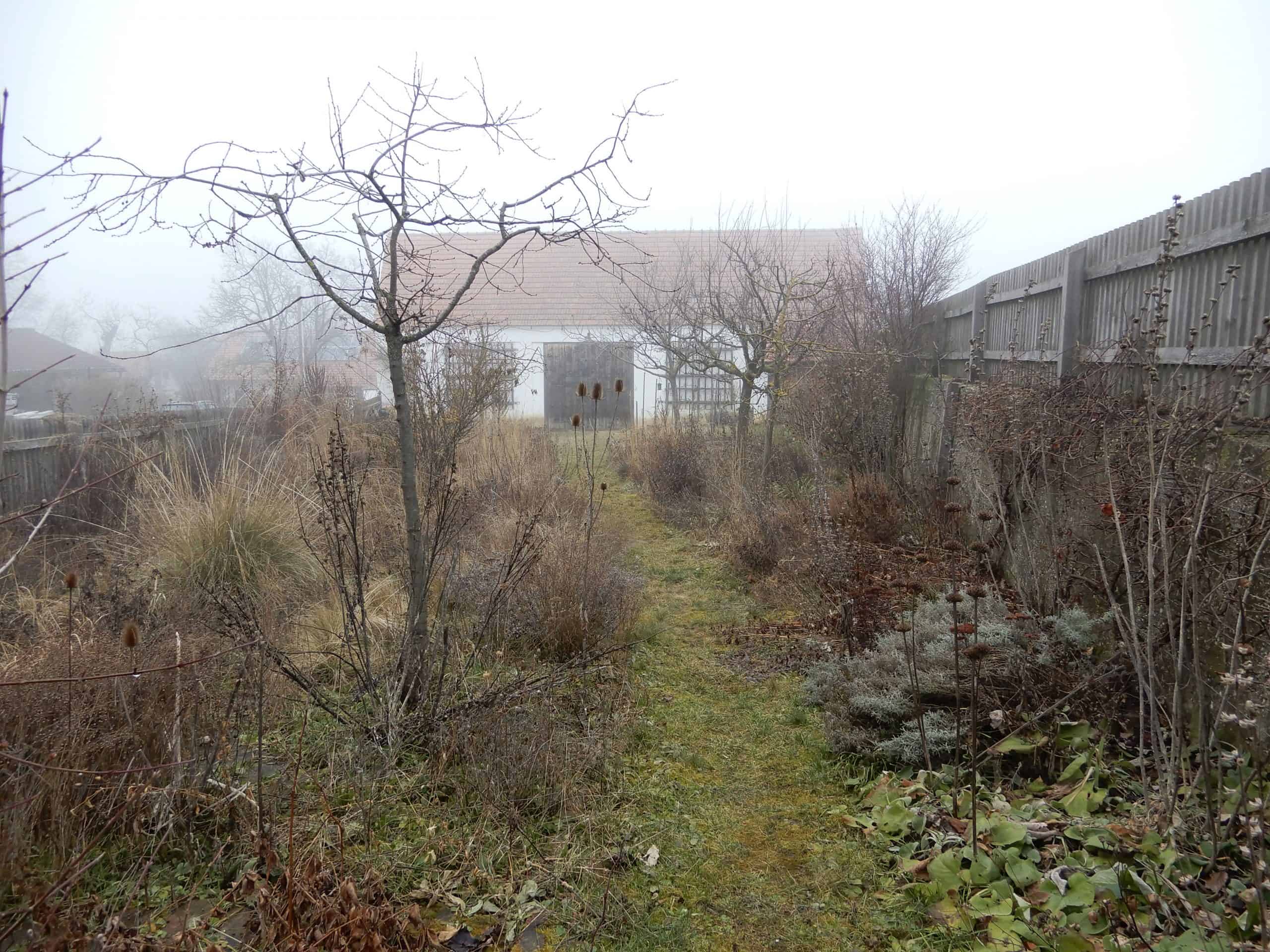 Garten Februar 2021