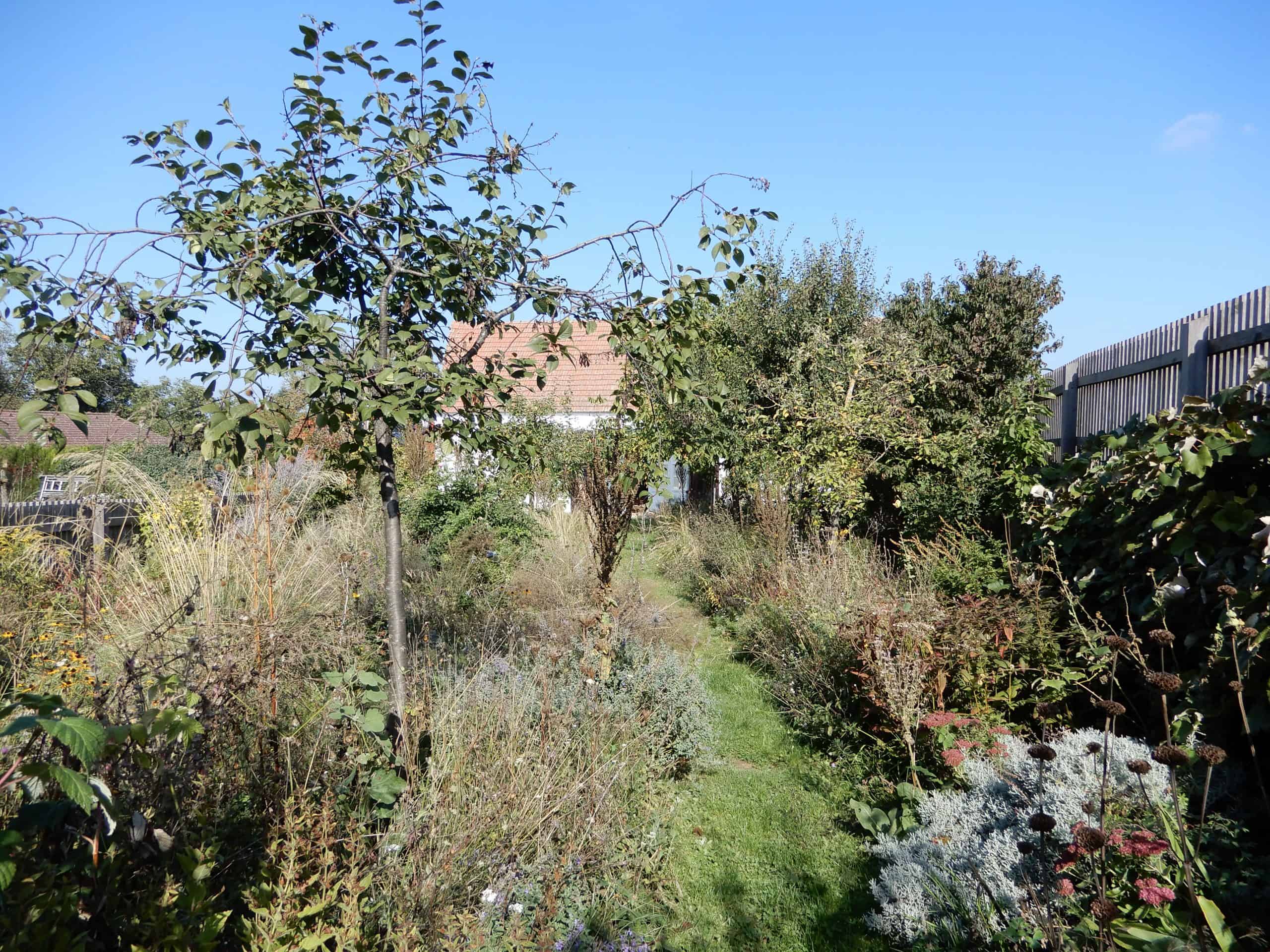 Garten Oktober 2021