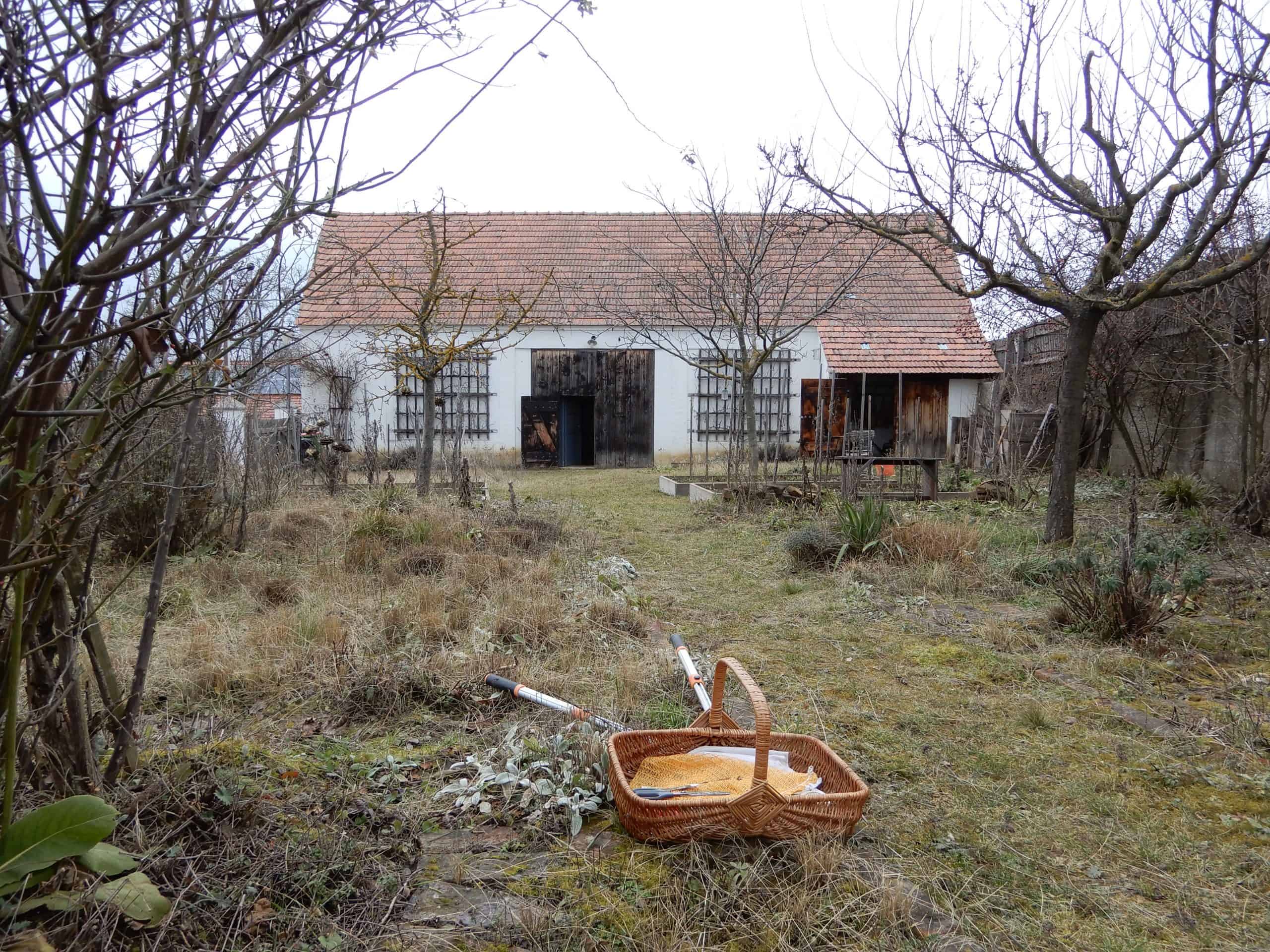 Garten Pflege Februar 2021