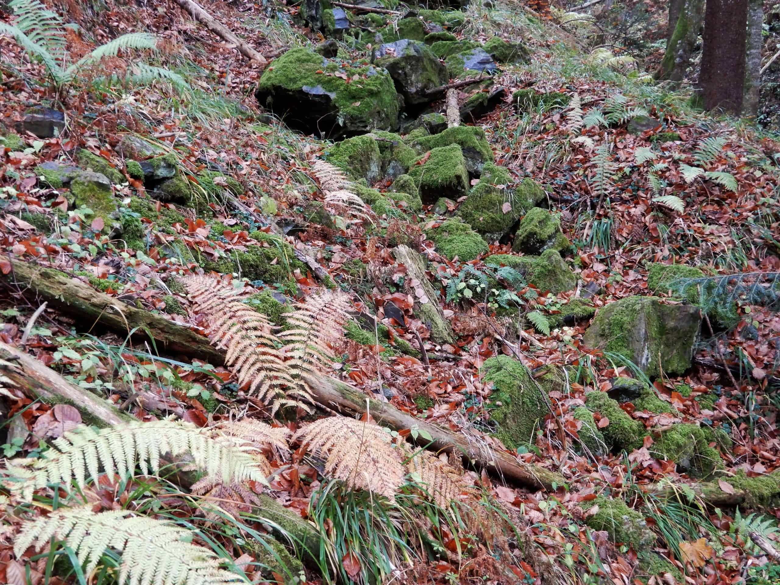 Blockstein-Wald
