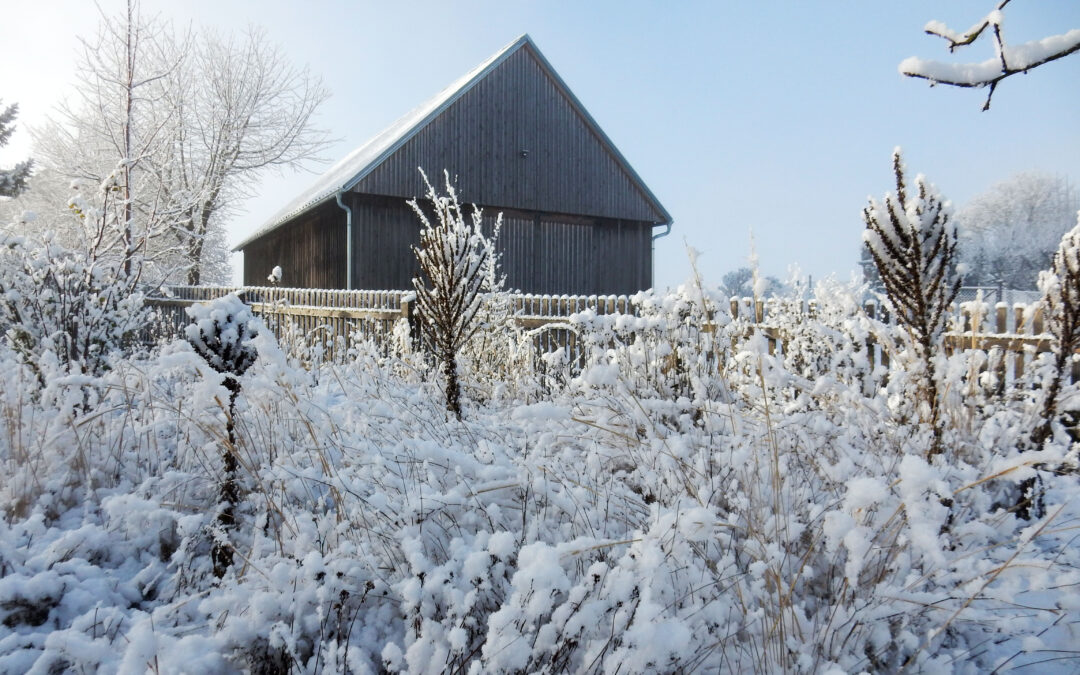 Der Blumengarten im Winter