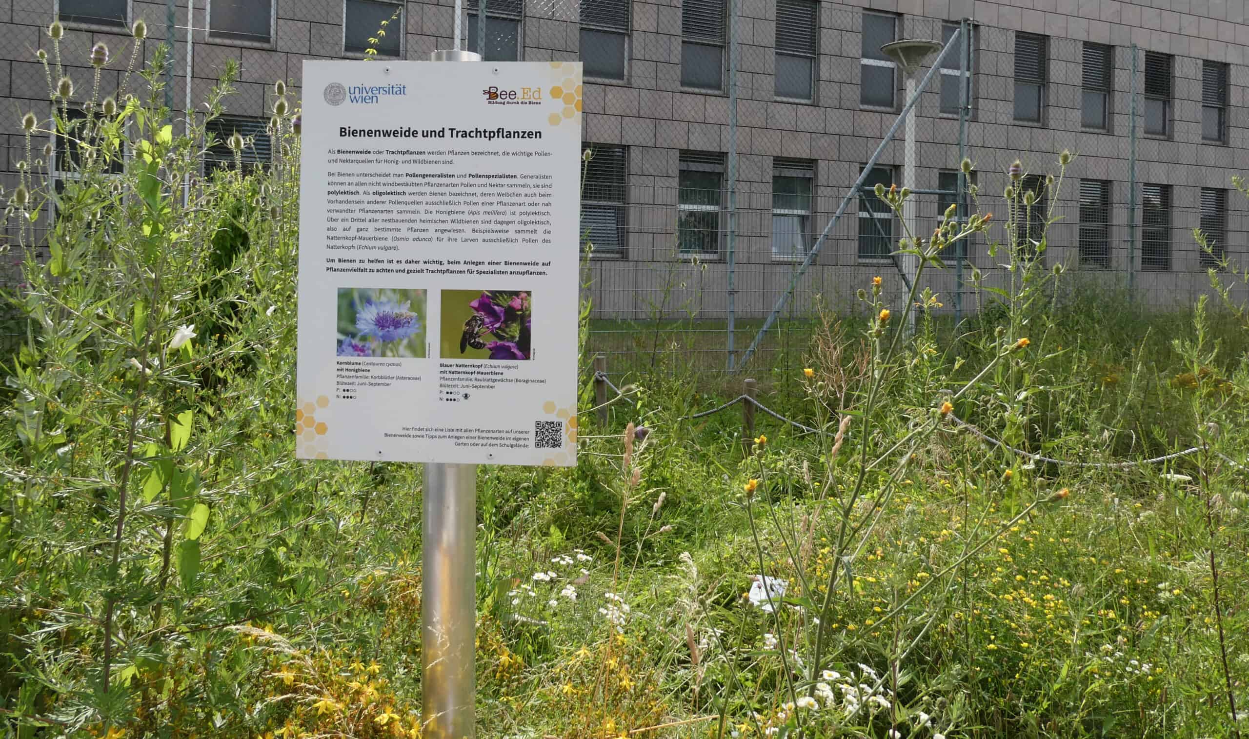 BeeEd Trachtgarten