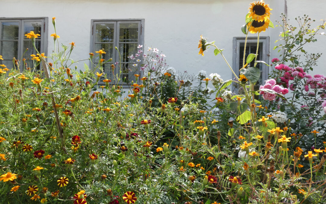 Vortrag beim Naturgartentag im Museumsdorf Niedersulz