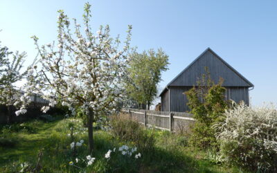 Das Jahr der Biodiversität