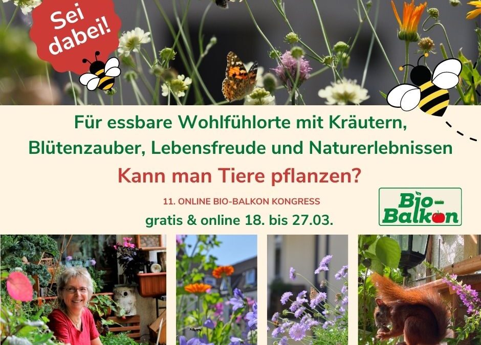 Vortrag beim online Bio-Balkon-Kongress