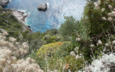 Natur und Gartenkultur im Golf von Neapel