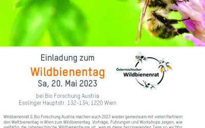 Vortrag beim Wildbienen-Tag der Bioforschung Austria