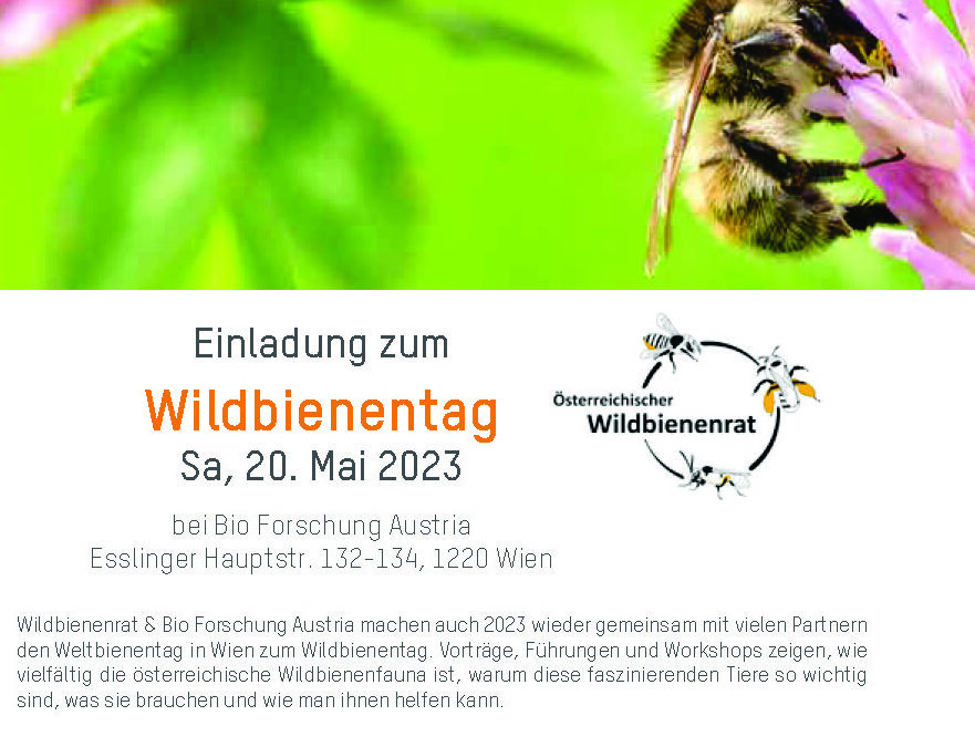 Vortrag beim Wildbienen-Tag der Bioforschung Austria