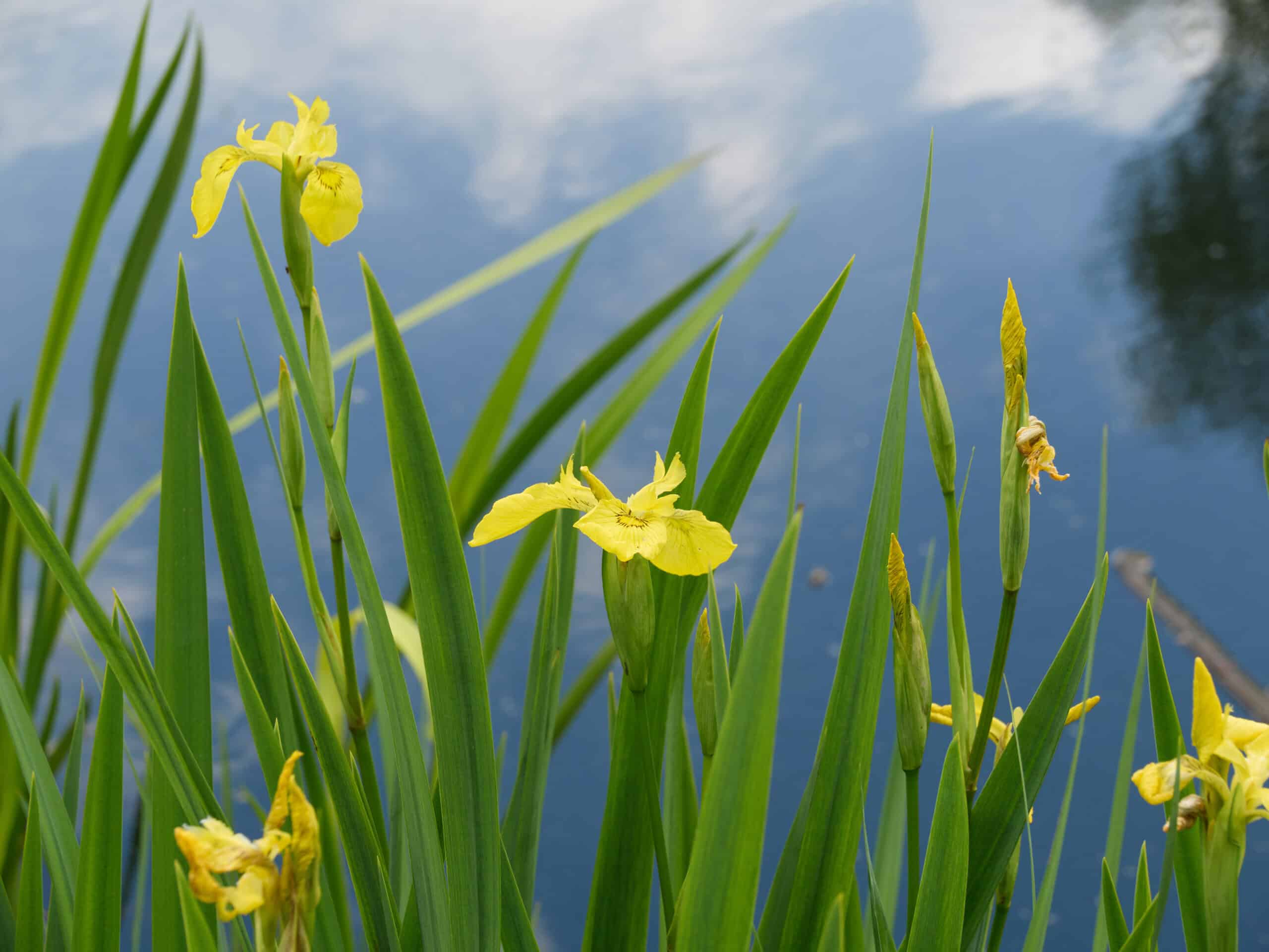 Blog_069_B 0030