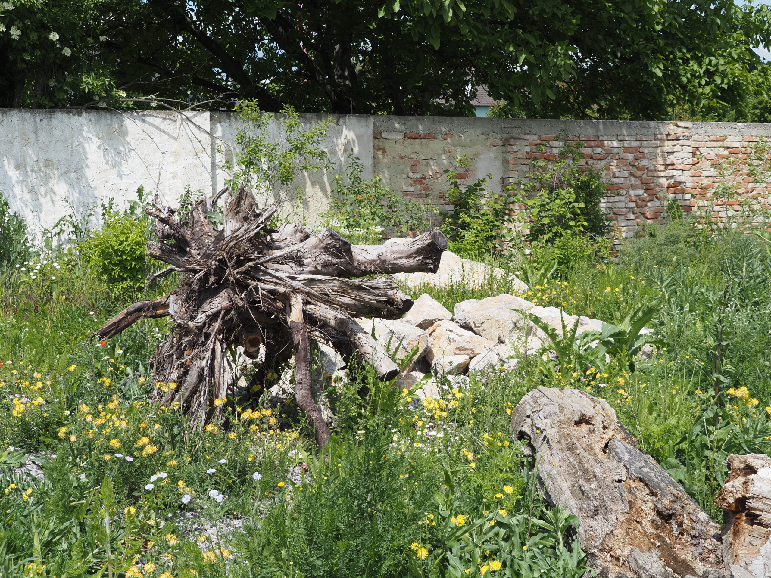 Sturm 19 Park c Sonja Schwingesbauer (8)