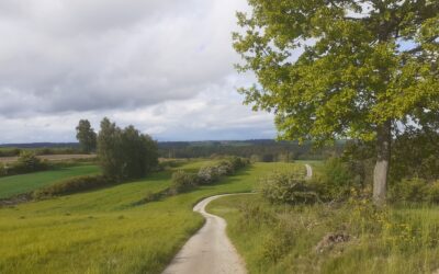 Naturbeobachtungen im zentralen Waldviertel