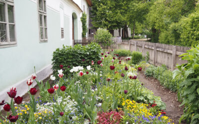 Frühlingsfreuden im Museumsdorf Niedersulz