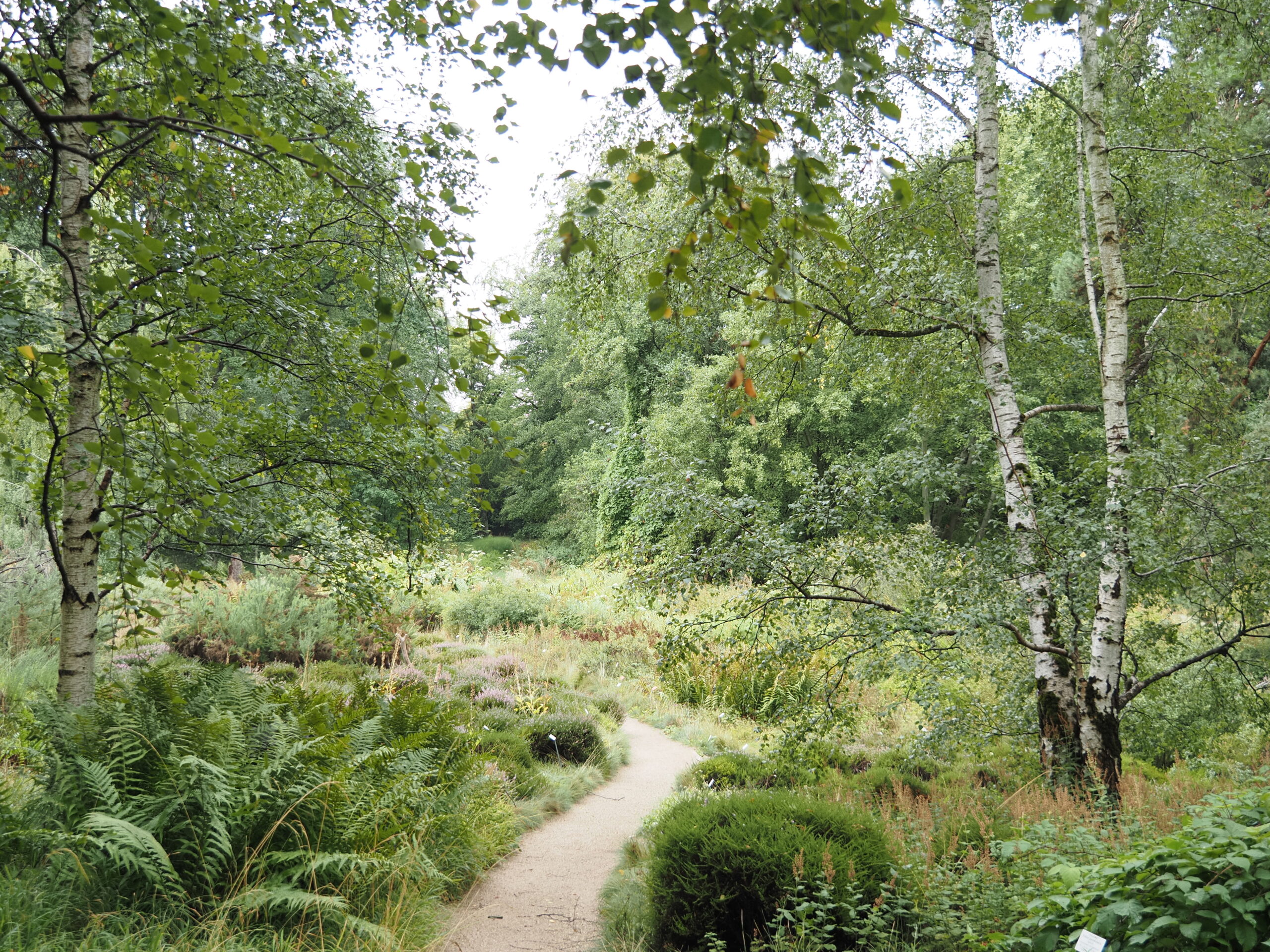 Meine Erkundung durch den Botanischen Garten Frankfurt